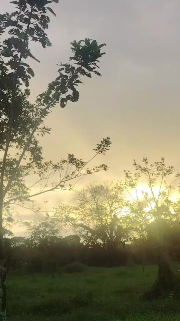 @╾━بلوچ عرباب 🥀🥀 قیصرانی