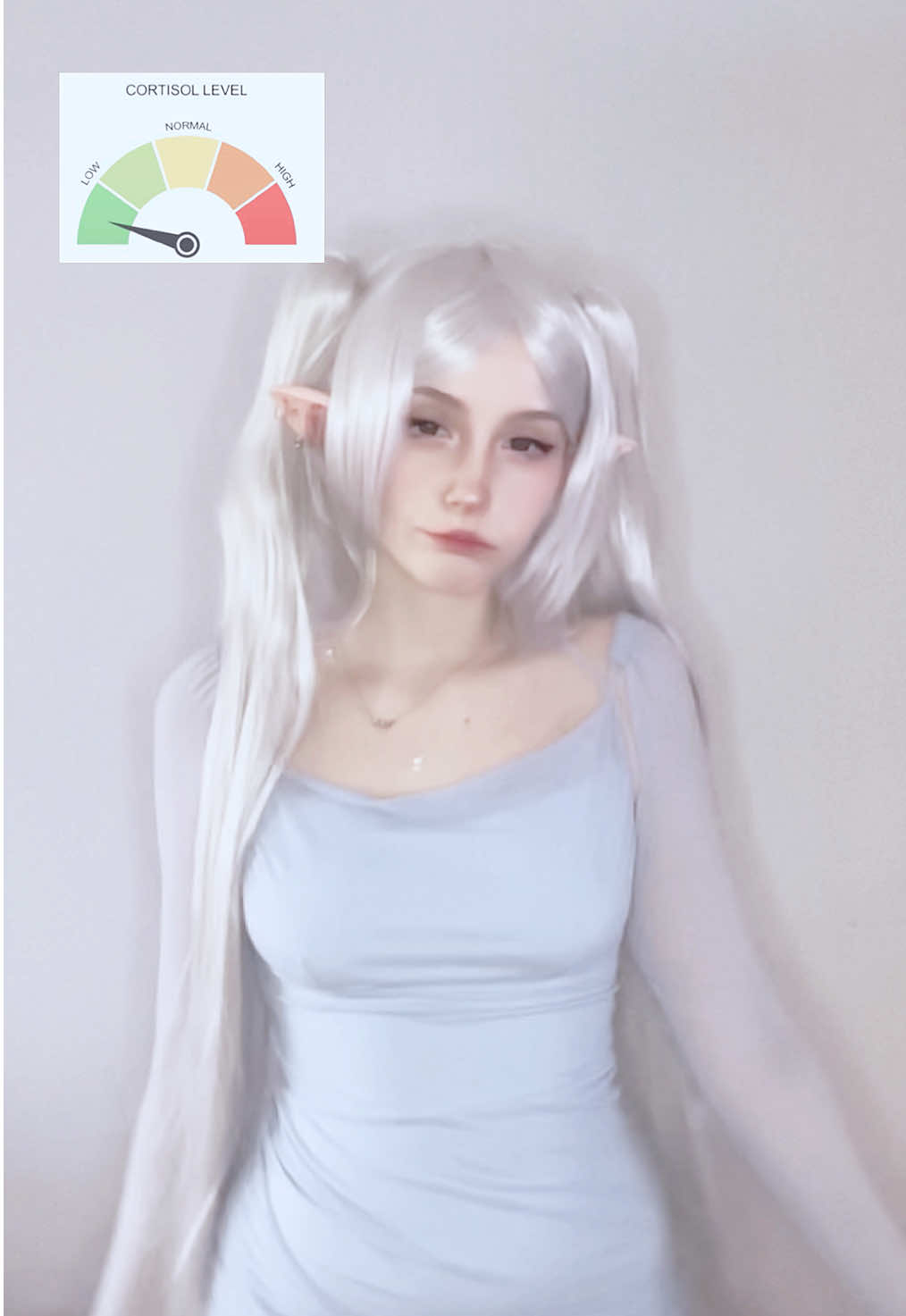 @Twitch/Kotorimv