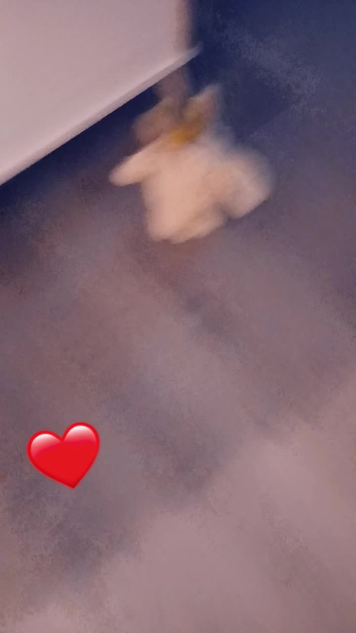 @oceane.sch