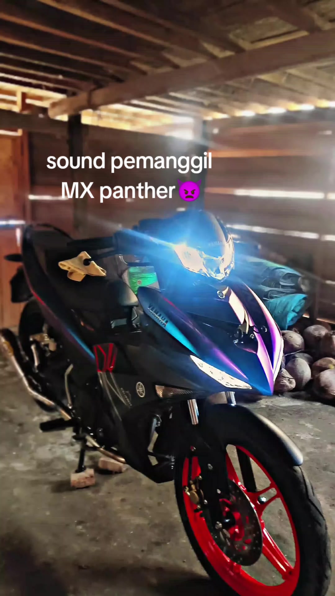 @Mx bocil🚀