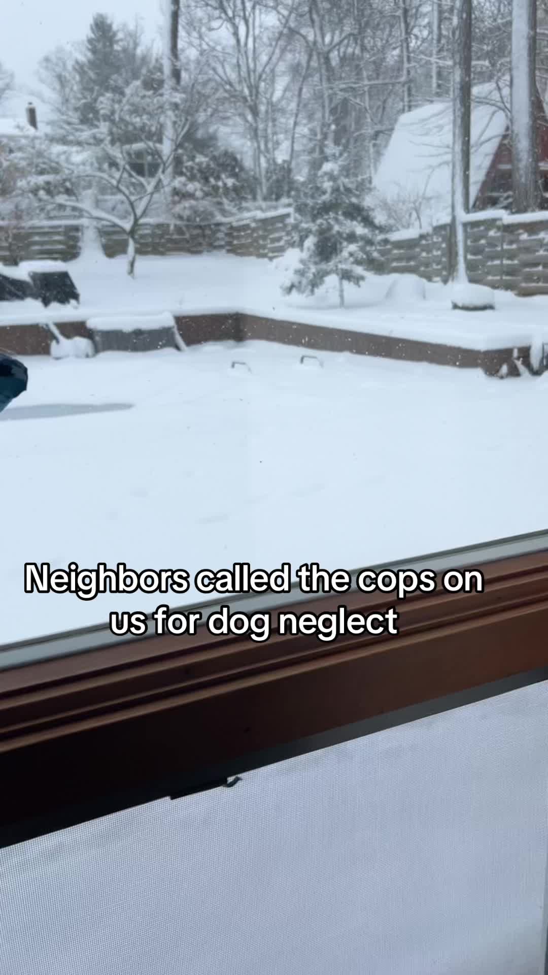 @freezinghusky