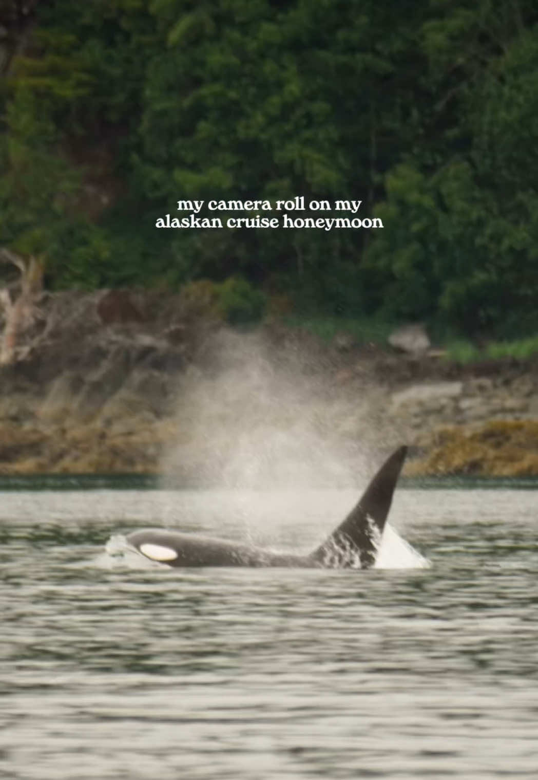 @environerd | ocean hope club💌