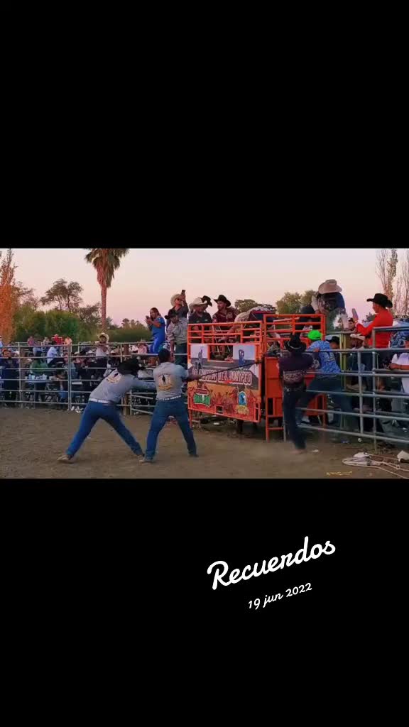 @Gilberto Negrete