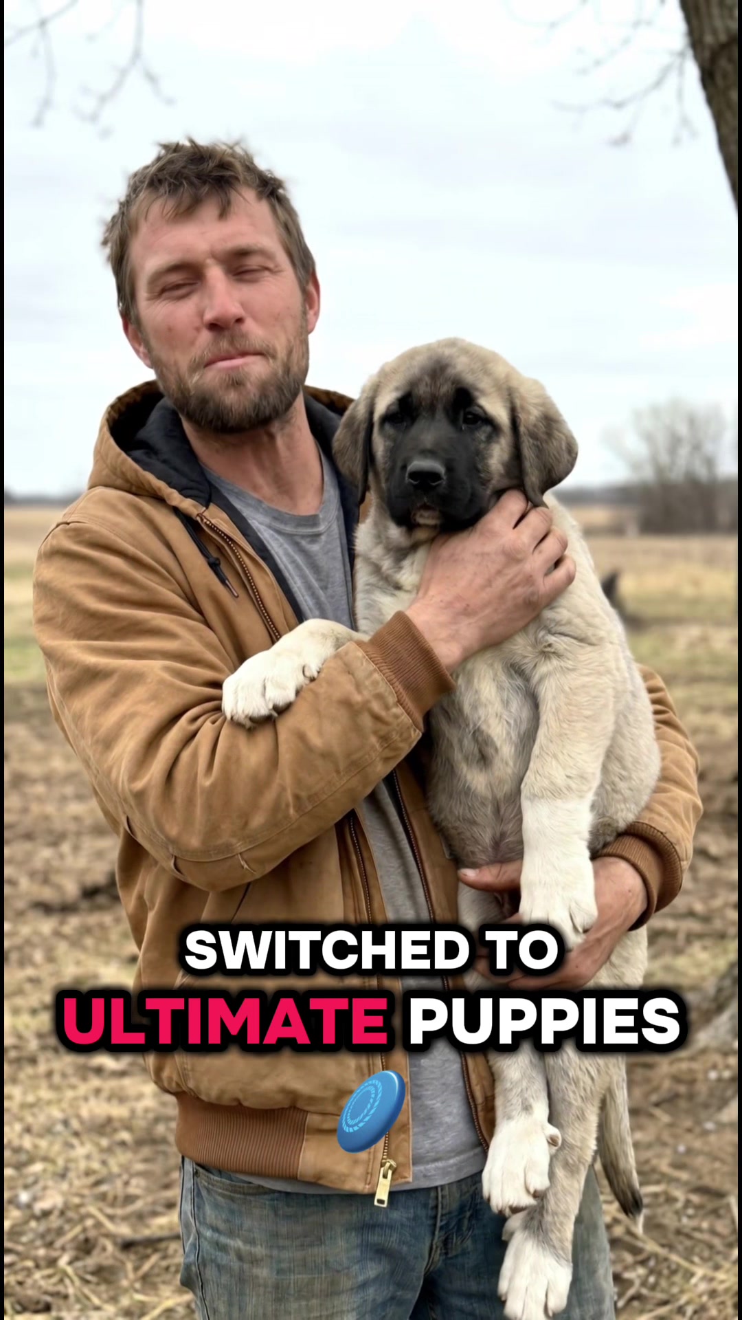 @Ultimate Puppies