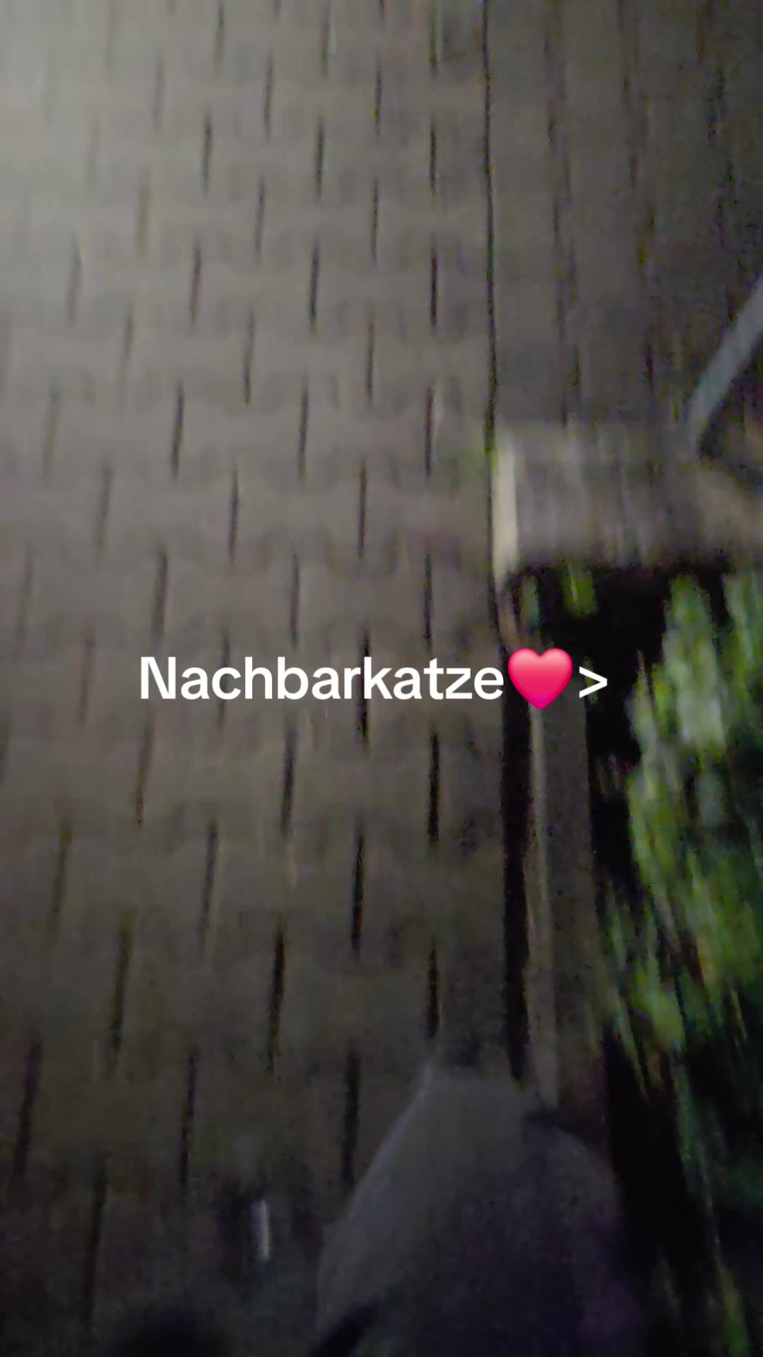 @Jnx.ofz