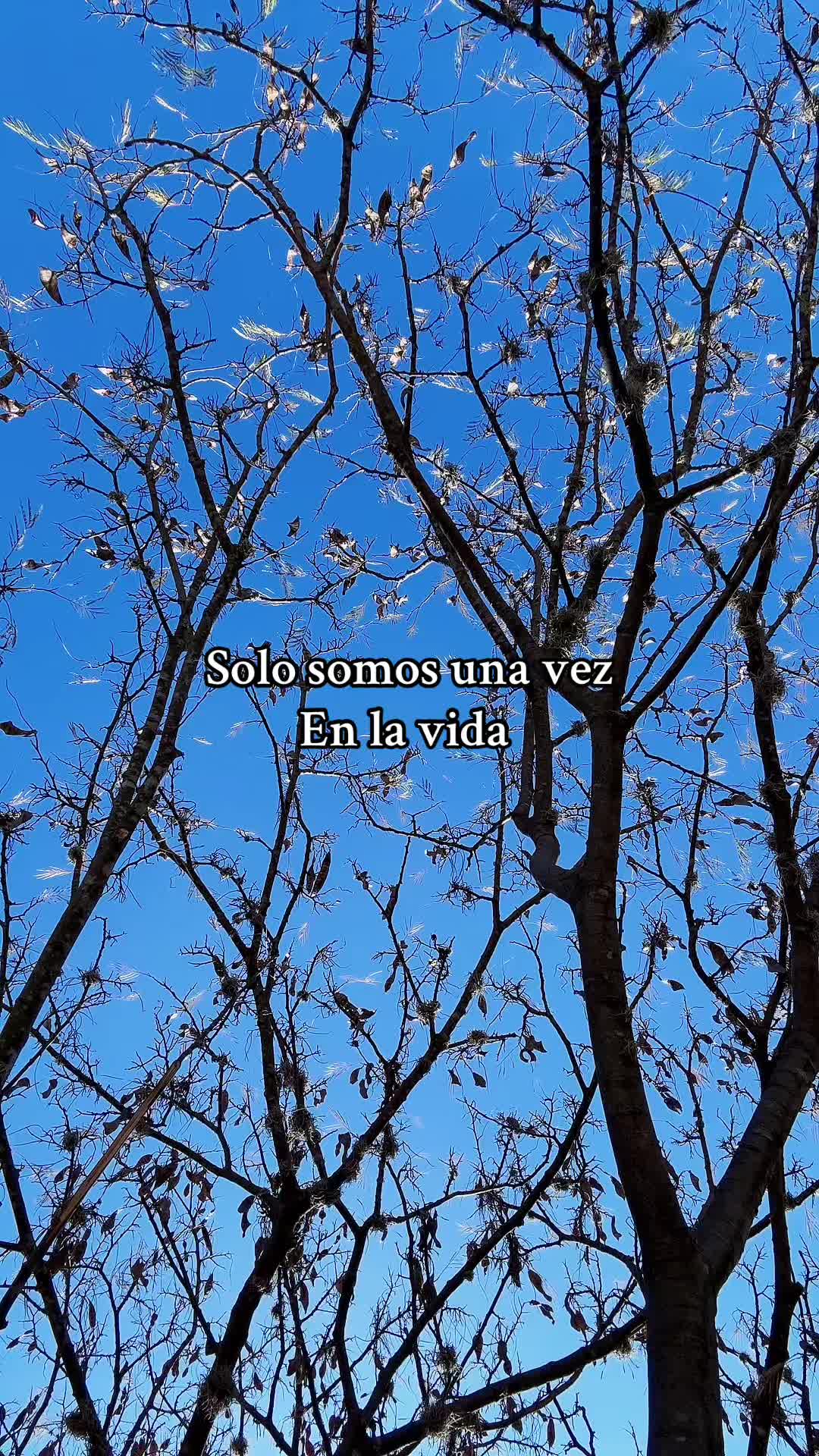 @PERLA 🫀