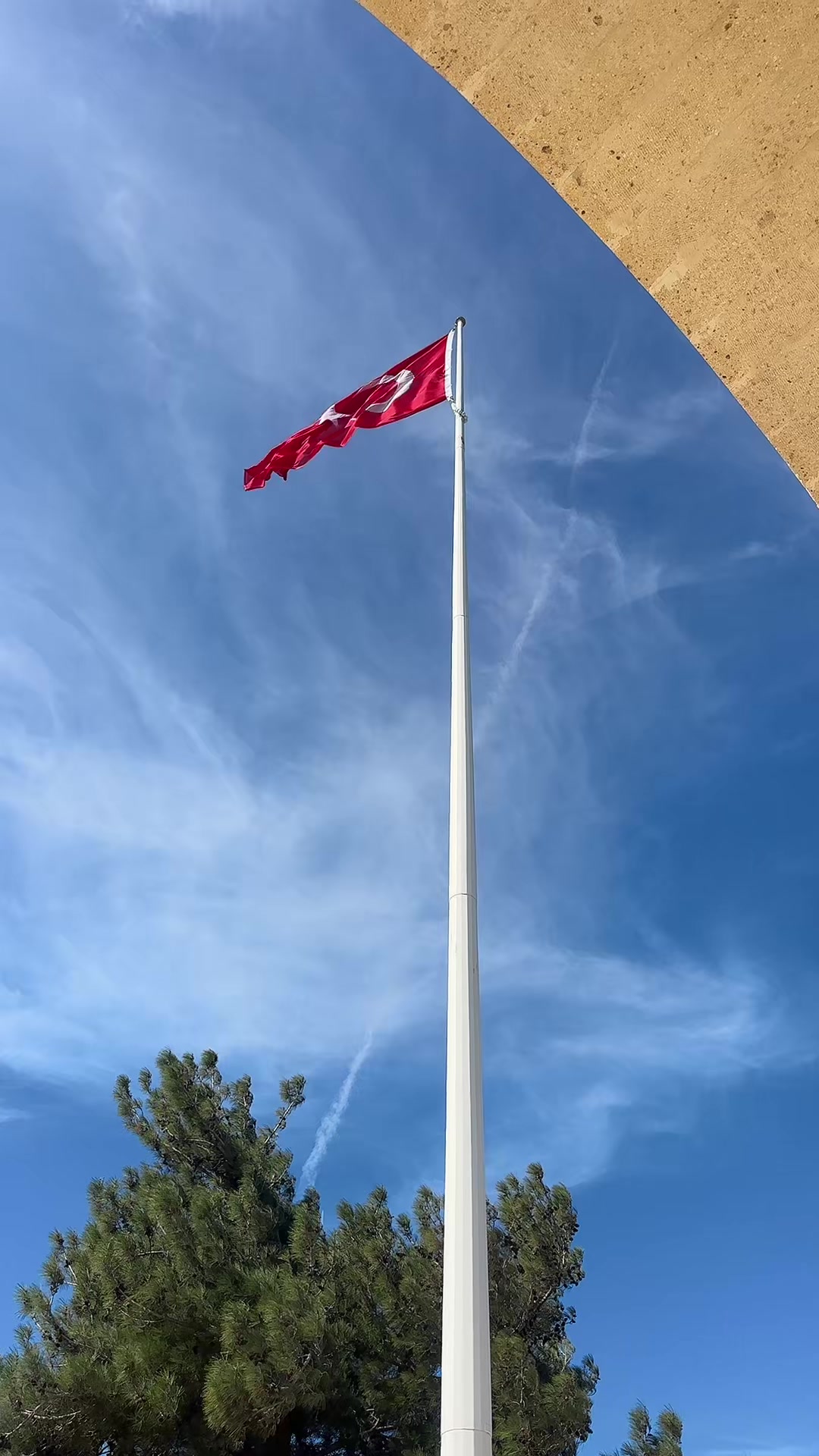 @&Ouml;ZCAN 4217