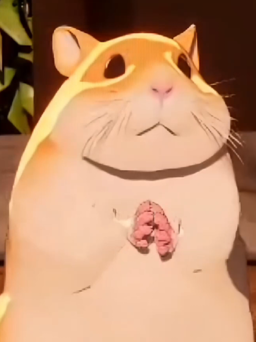 @plvchuki