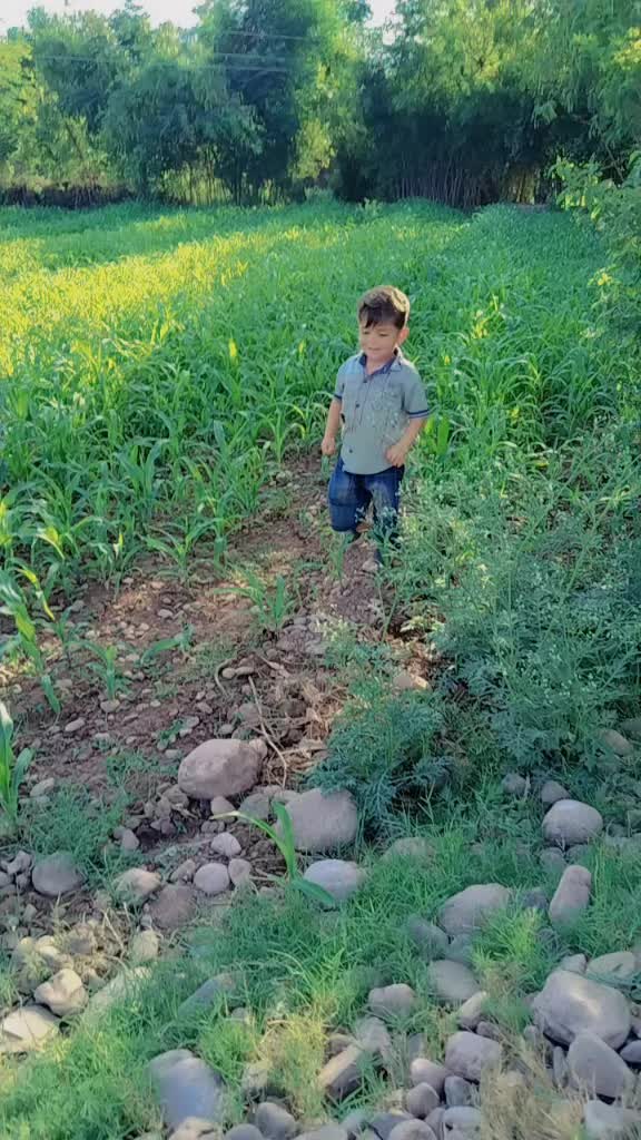 @Amjad Afridi