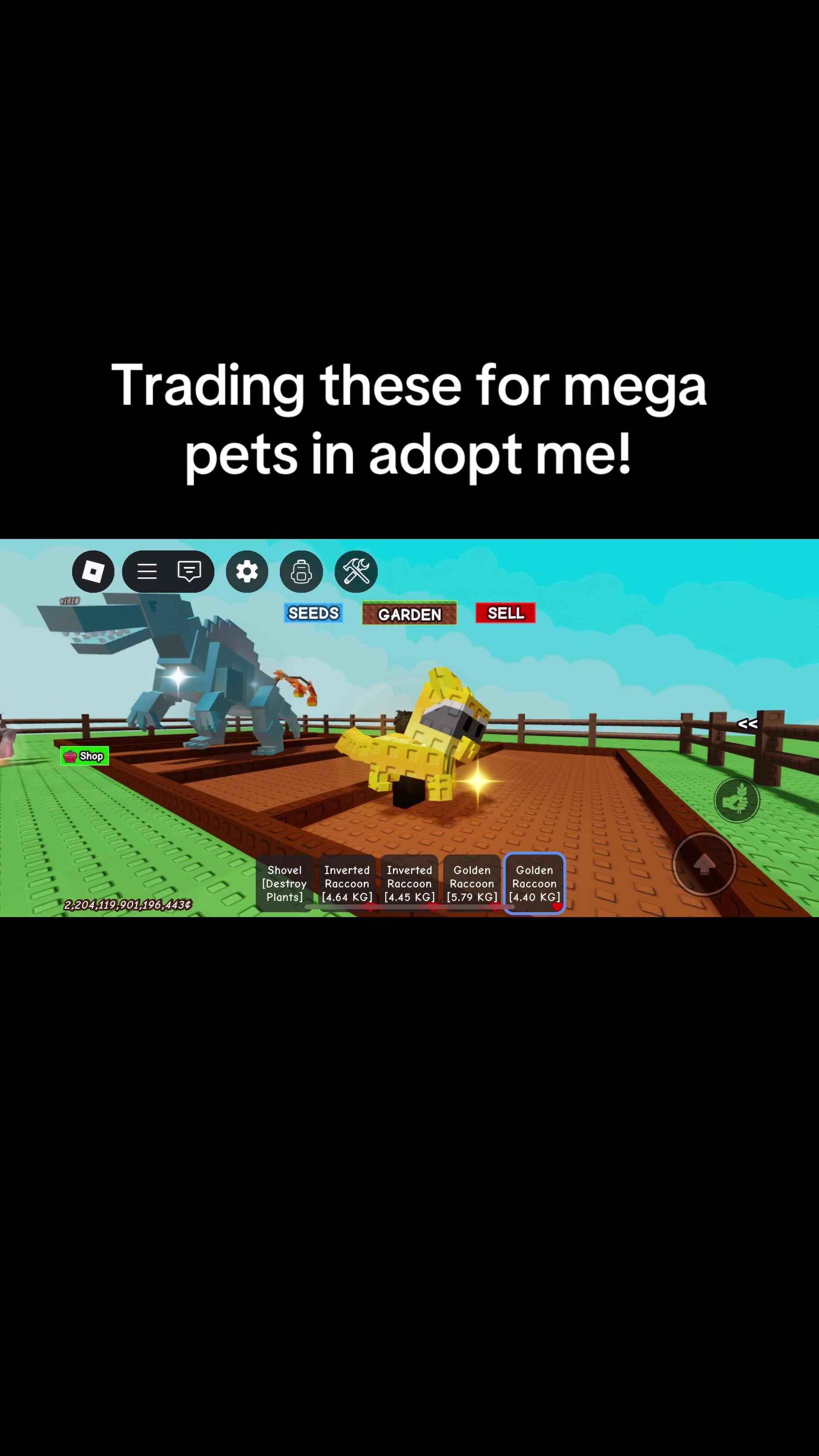 @Gag trader