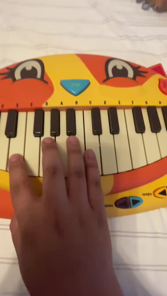 @Dave the Cat Piano