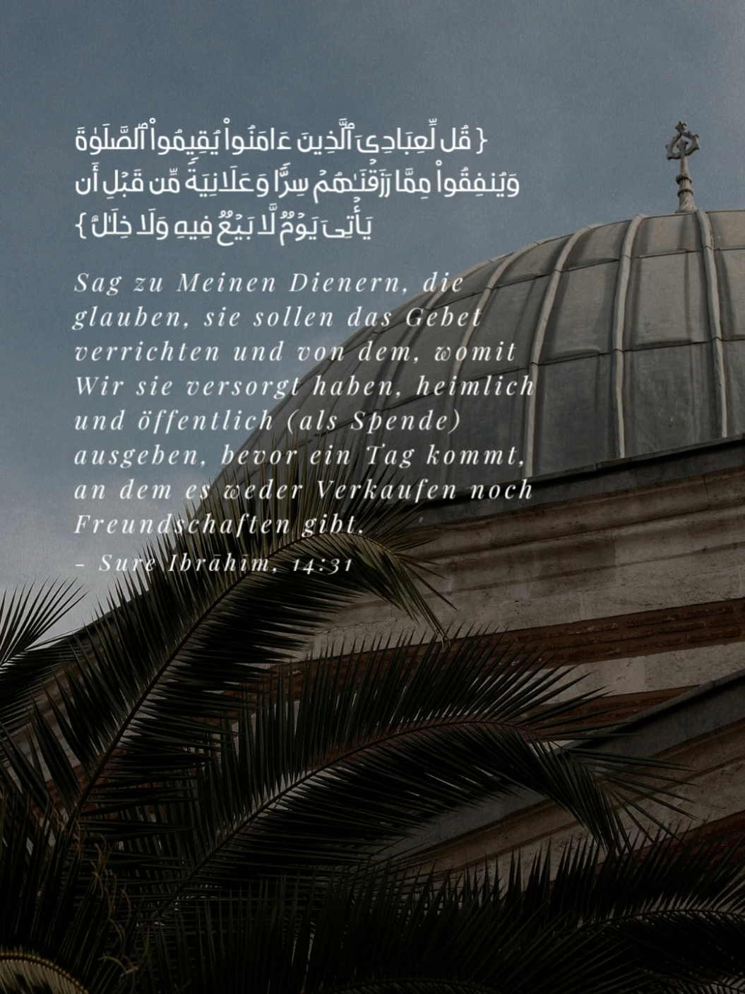 @Koranverse & Hadithe