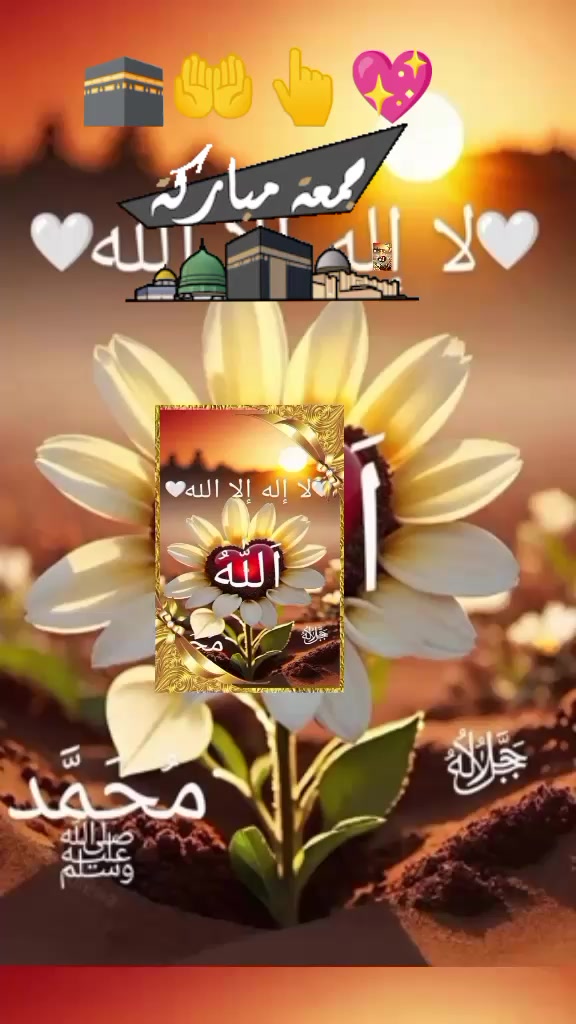 @Hassan Hussain💞