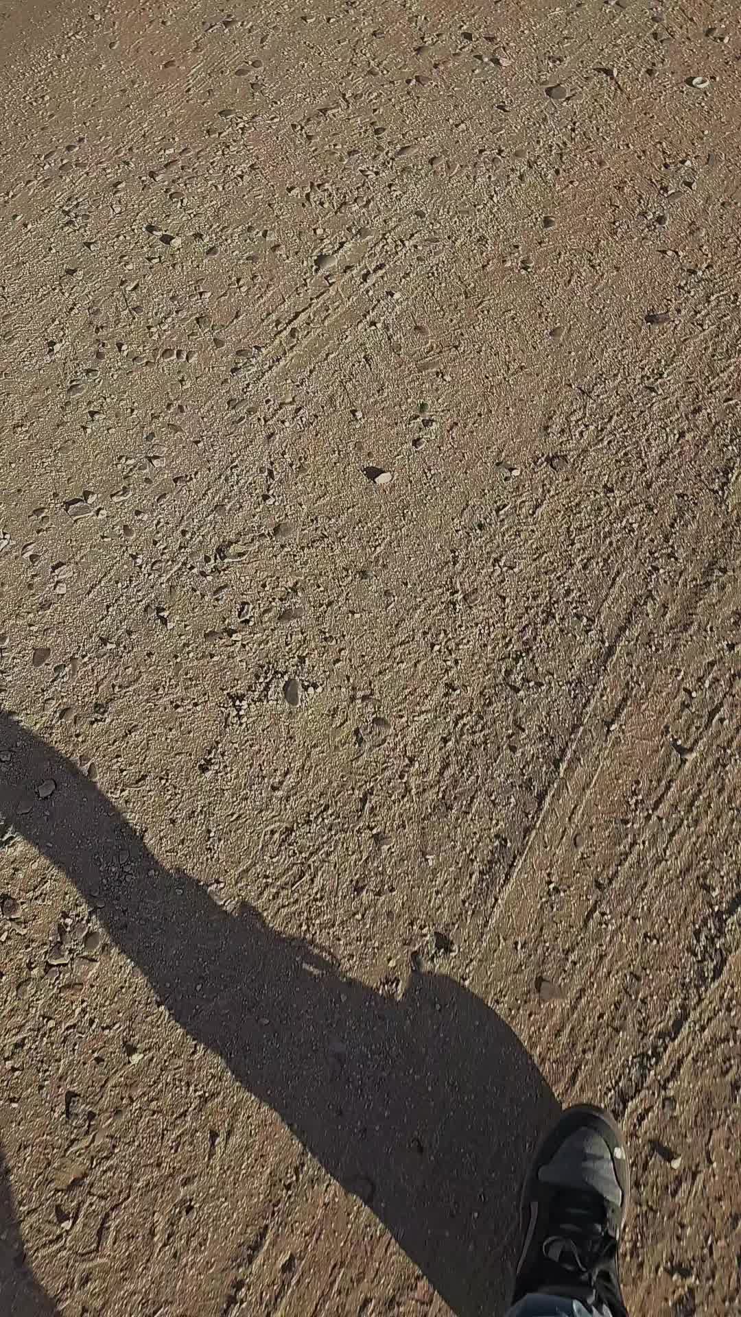 @ctrfabian