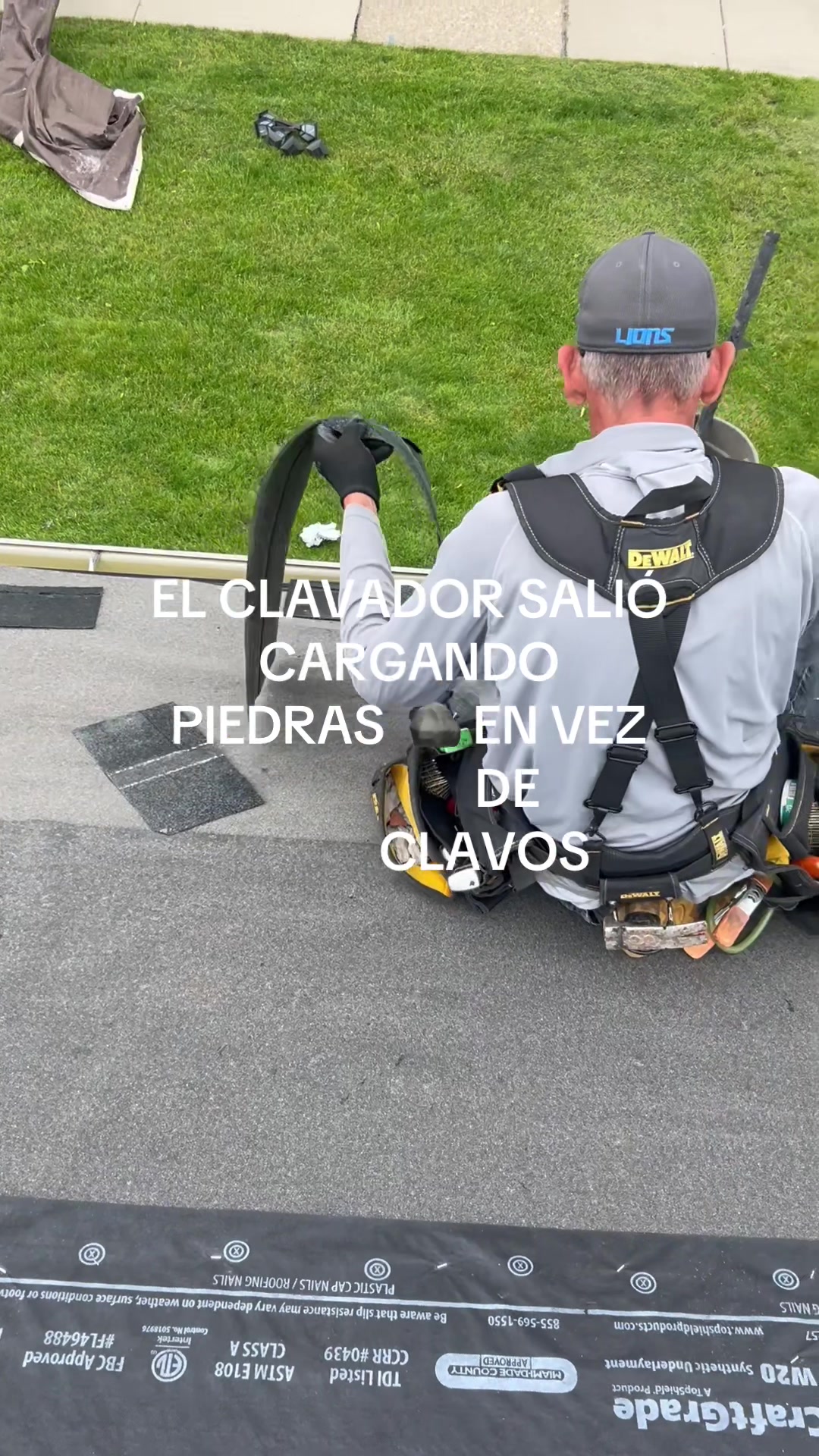 @🦥🐿️🌴EL POCHOLO ✈️⚔️❤️
