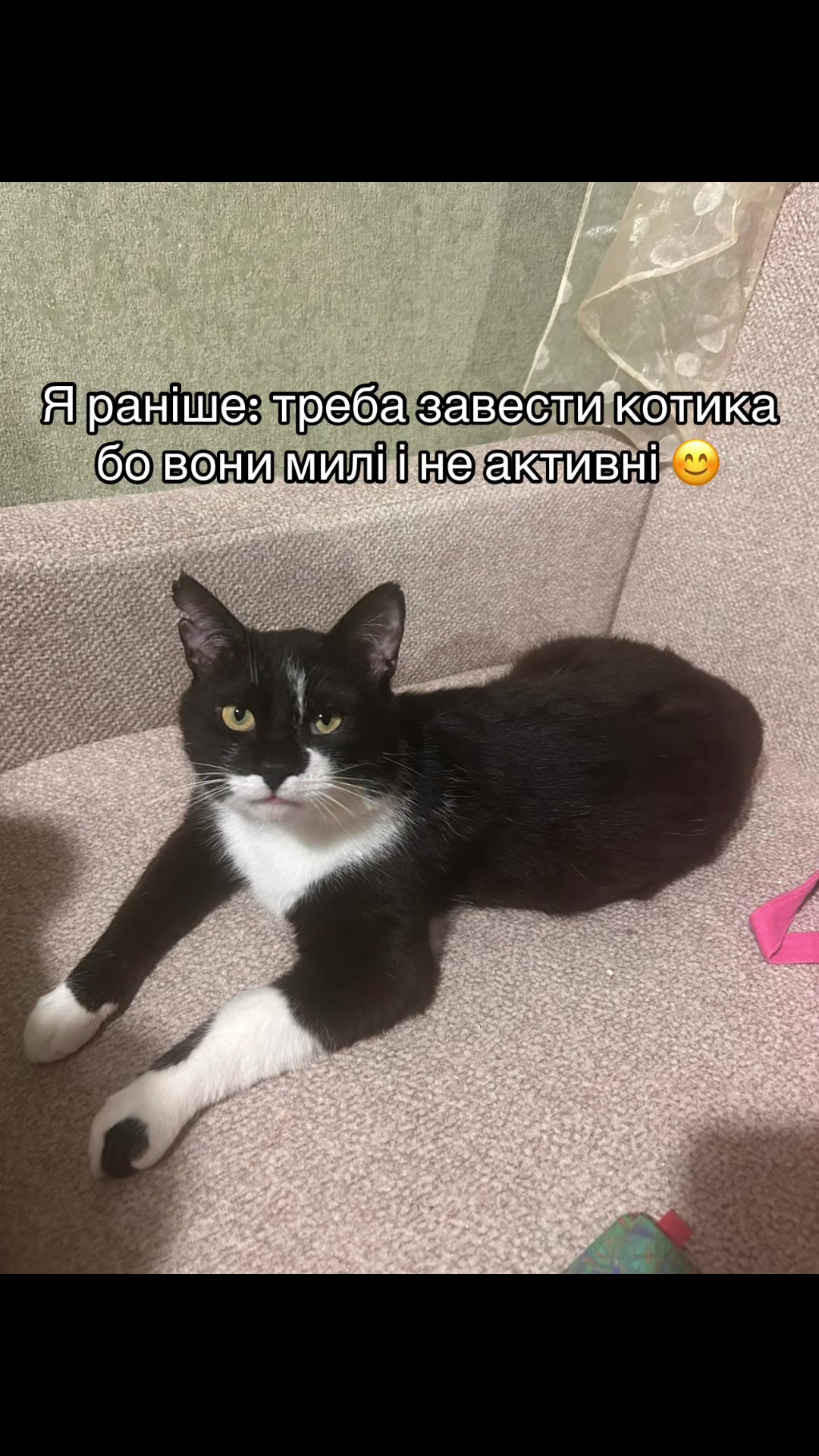 @жаб'ячий крінж
