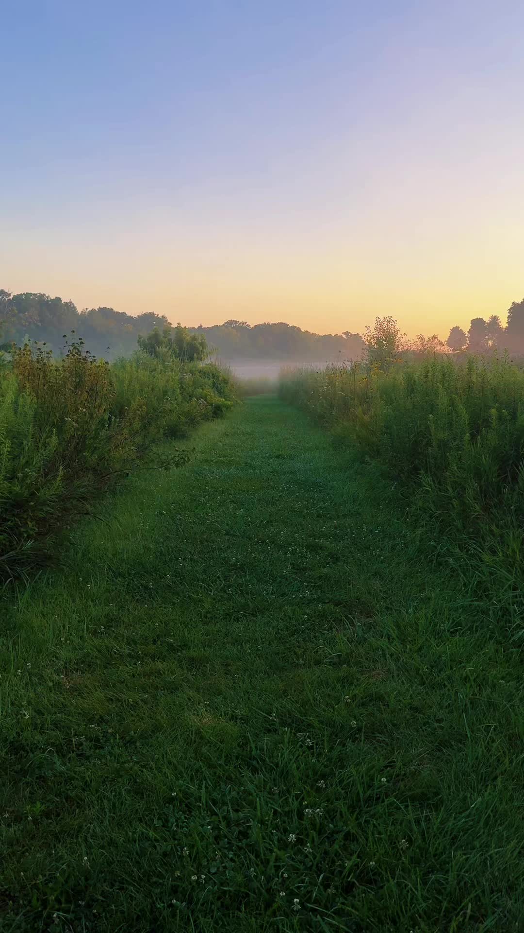 @alone4life444