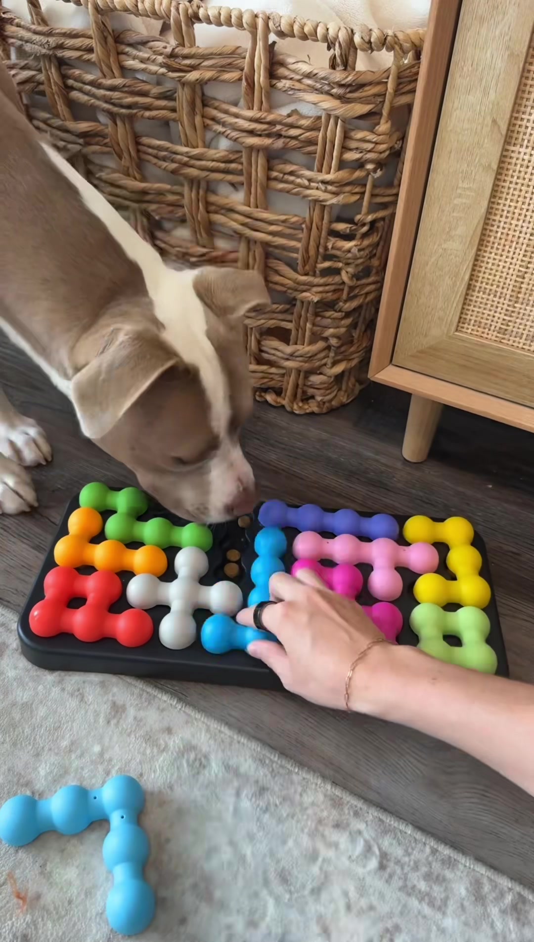 @Millie The Pitty