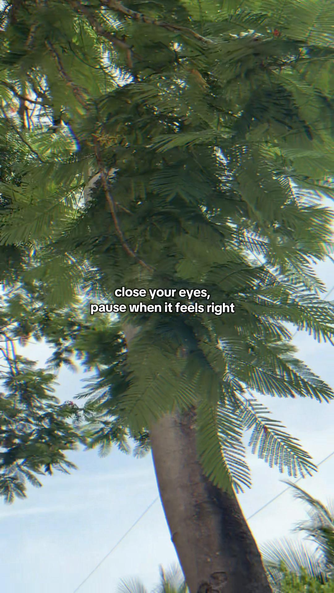 @mariam