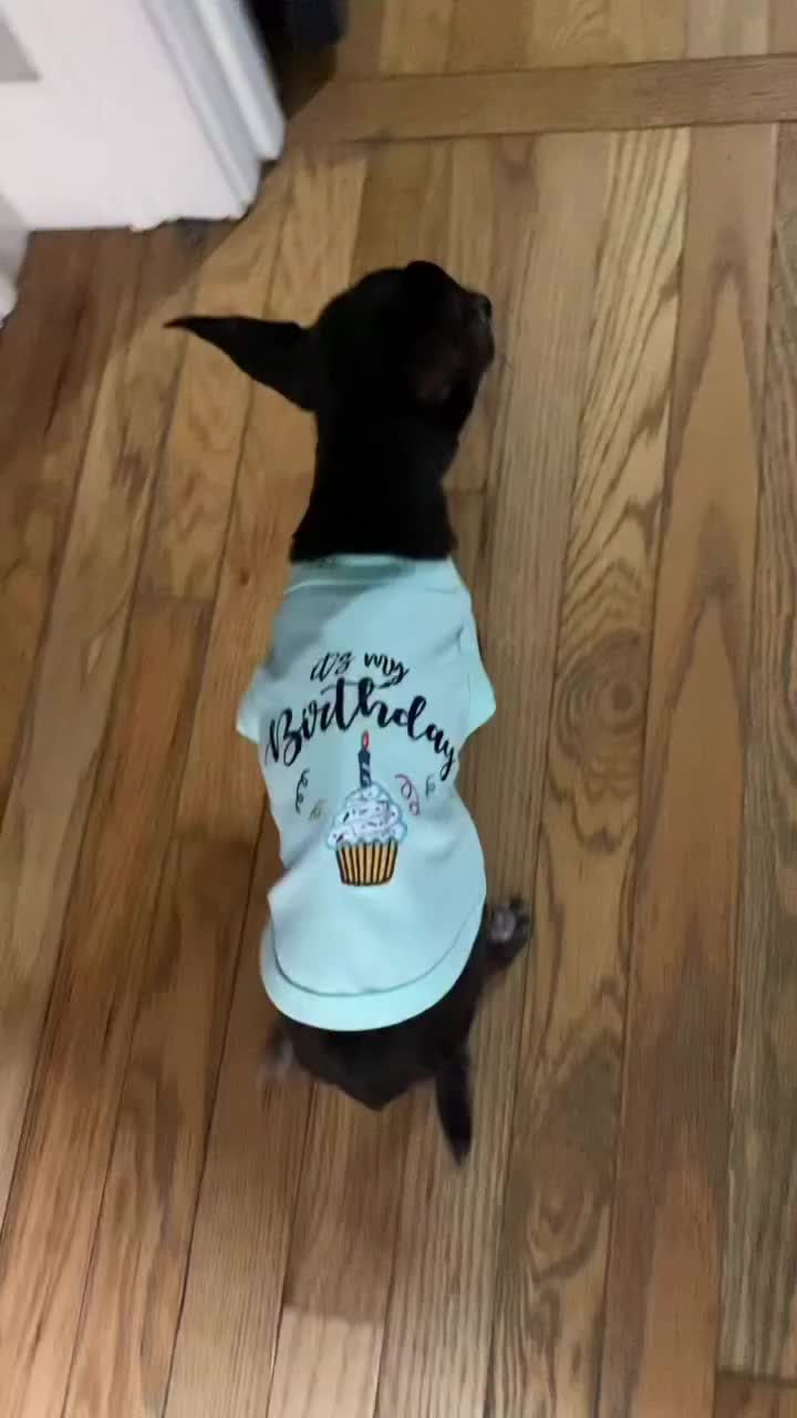 @MortyTheMisfit