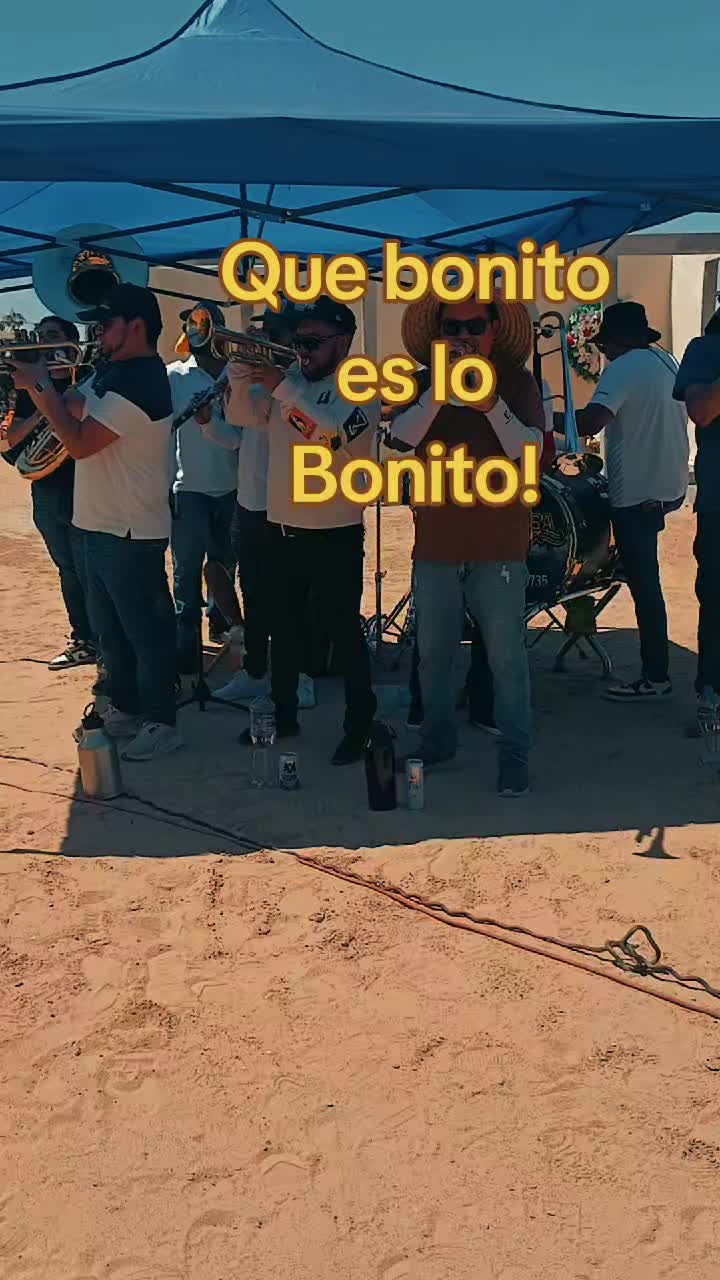 @sanababichis