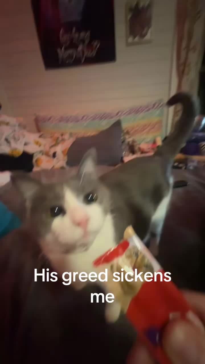 @𝓡𝓮𝓫𝓮𝓬𝓬𝓪