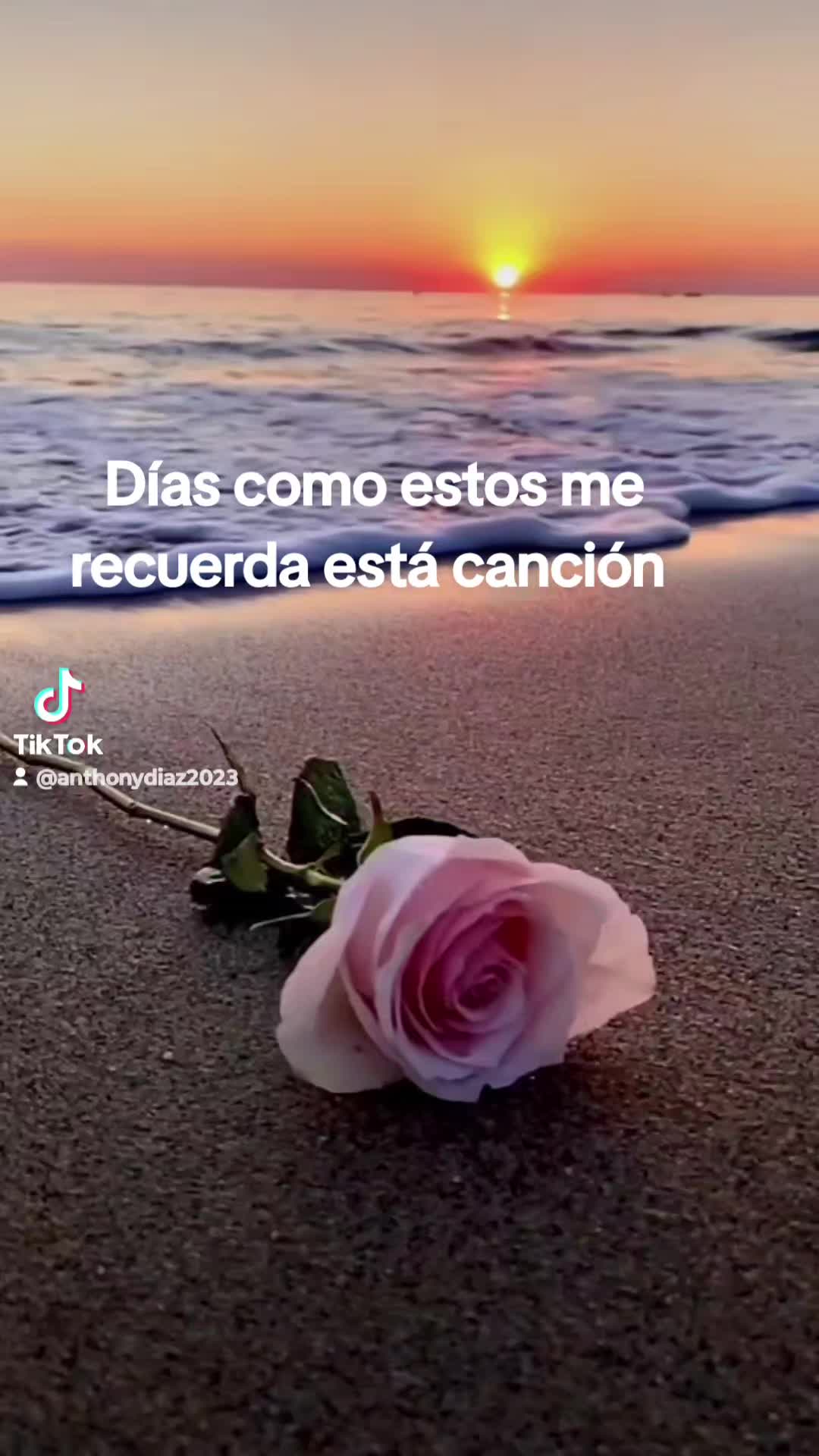 @❤️🪽🕊️cristo salva 🕊️🪽❤️