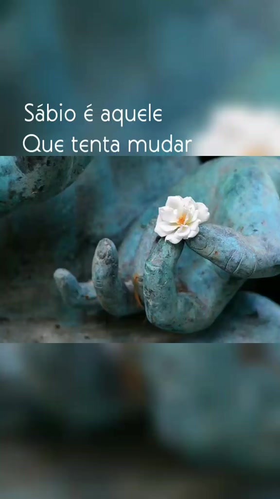 @Dany Carvalho✍️