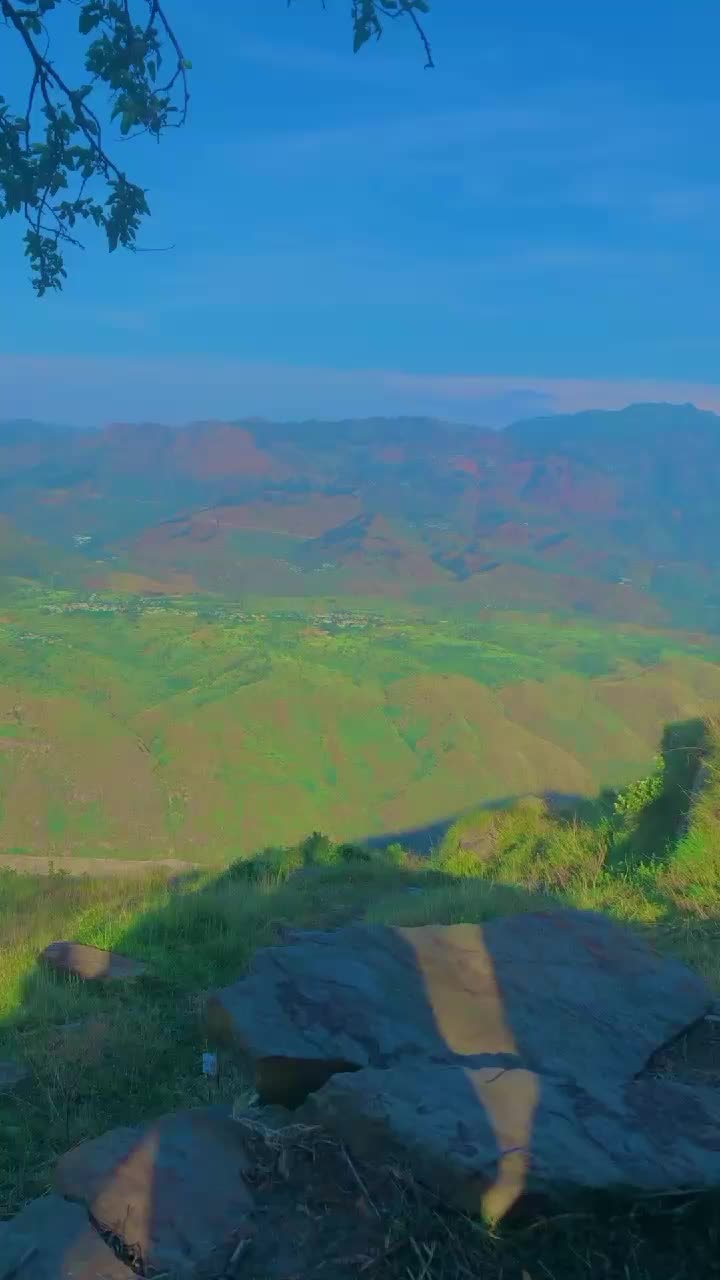 @وطن گلونہ