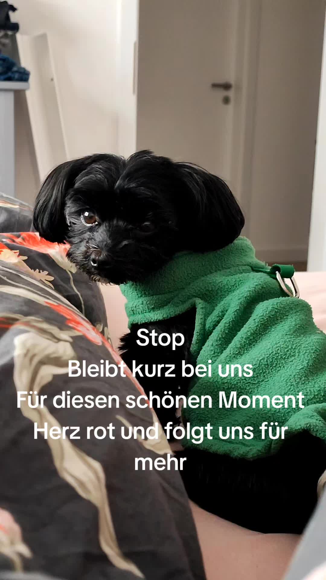 @P&ouml;ppi