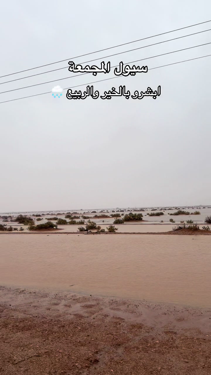 @ترند المجمعة 🌴
