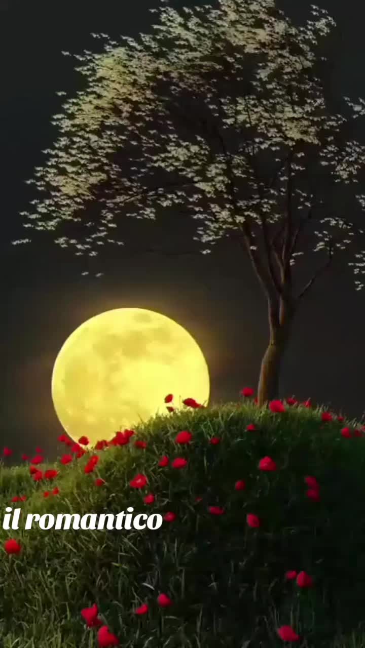 @❣️ il romantico 79❣️