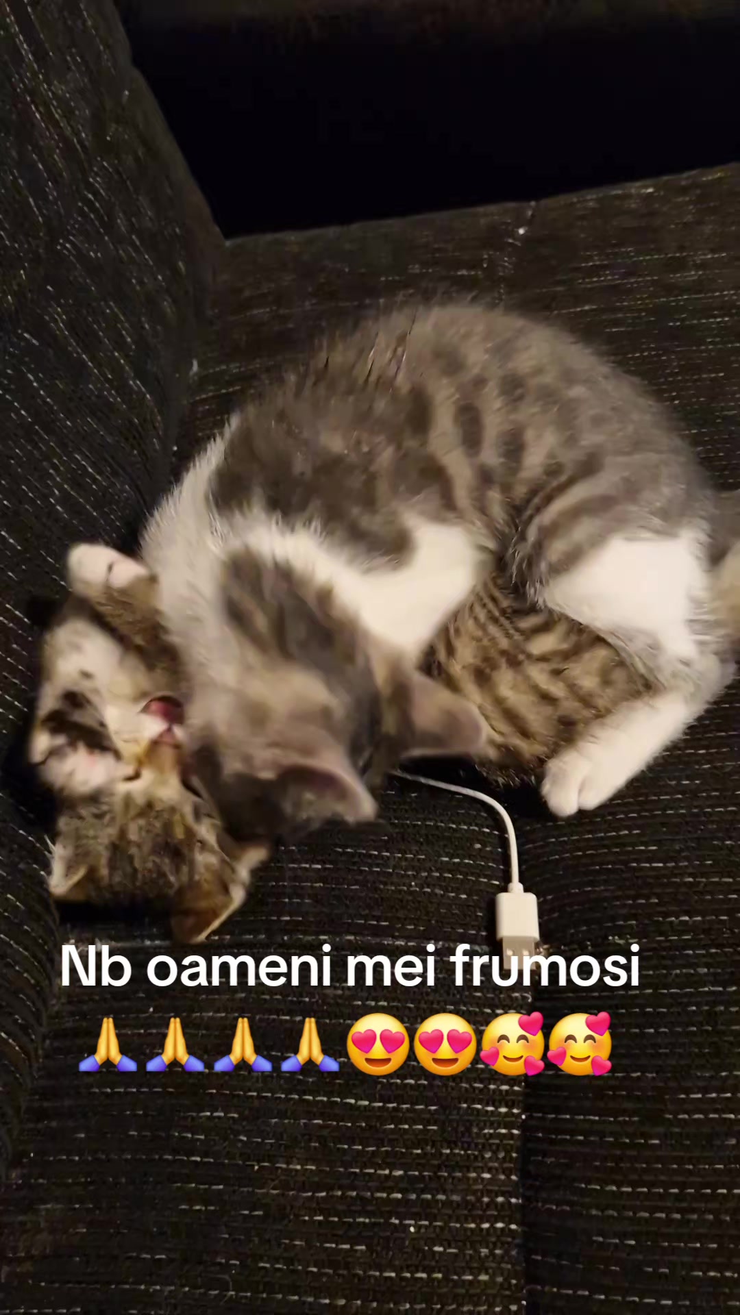 @filipo