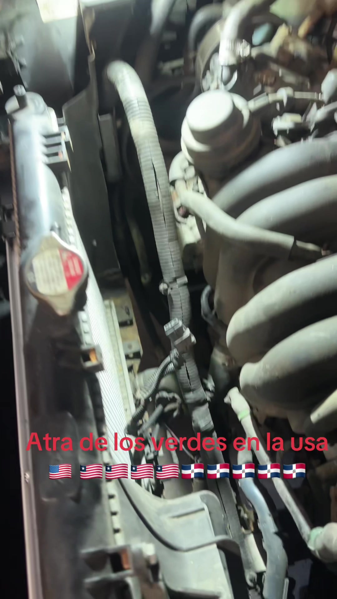 @jorgepeguero366gmail.com