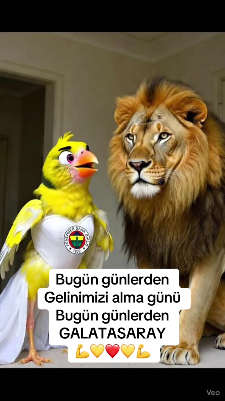 @Arif Seyman