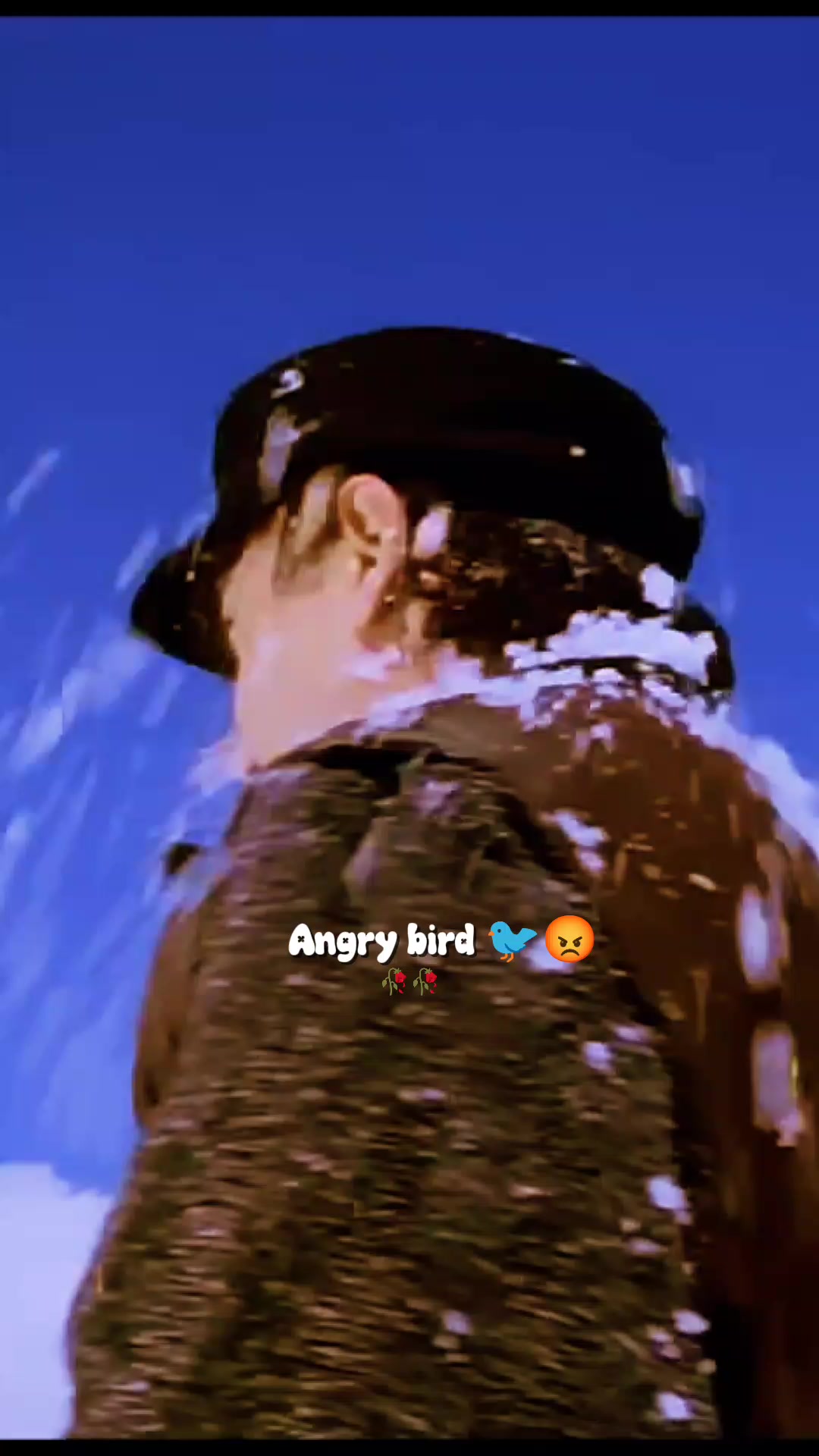 @💫𝖆𝖓𝖌𝖗𝖞 𝖇𝖎𝖗𝖉𝖘💫💥