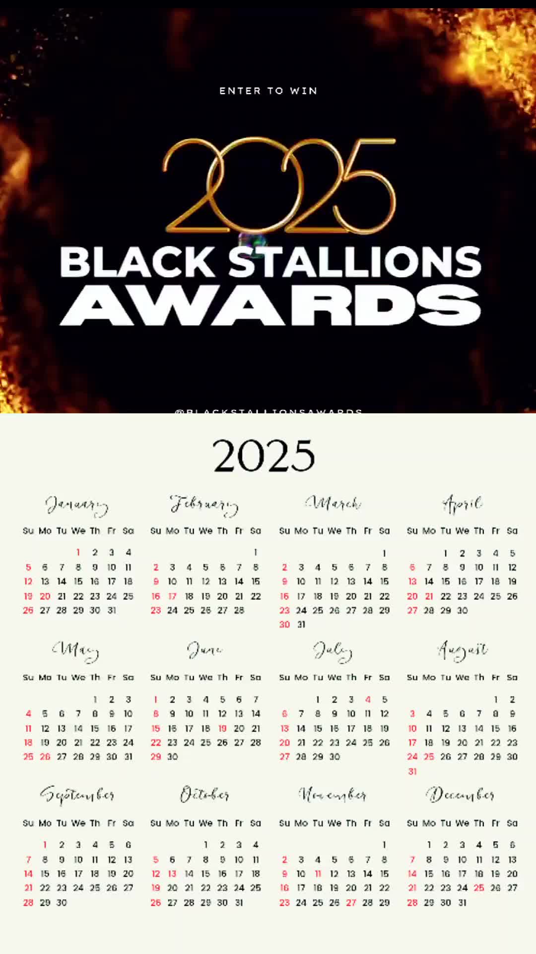 @Black Stallions Awards