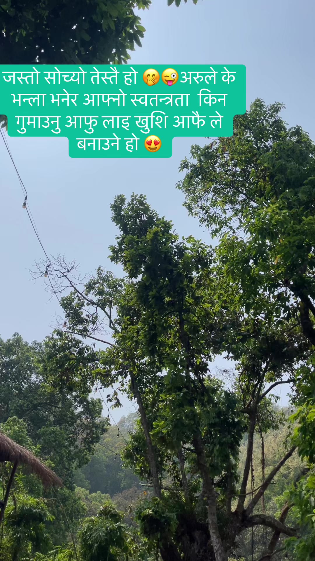@sangeeta acharya 277☯️