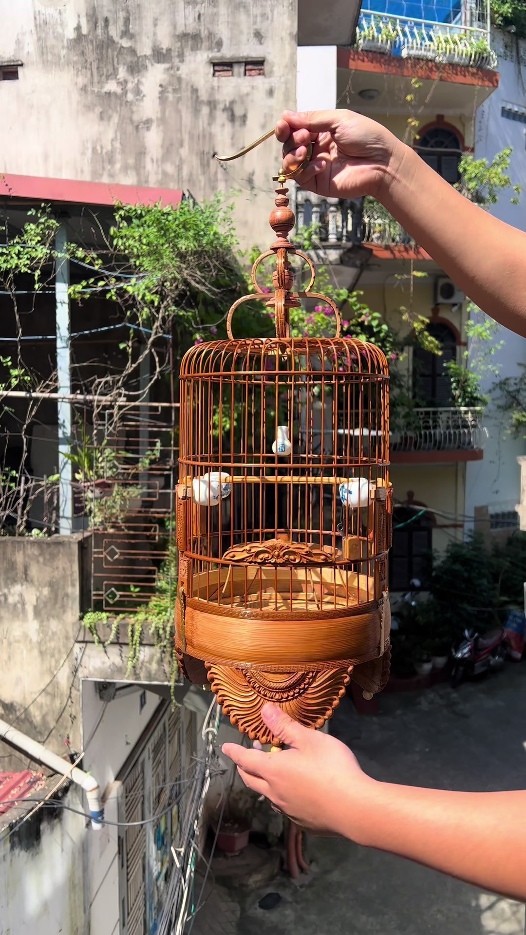 @Lồng Chim Đẹp