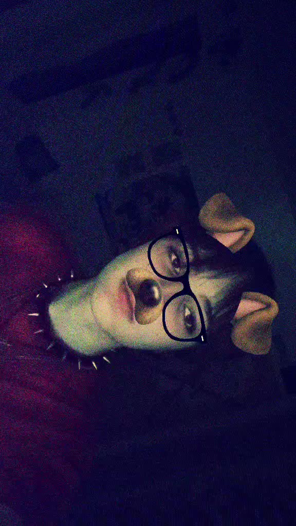 @ᴀᴋɪɪ / ᴇʟʟɪᴏᴛ