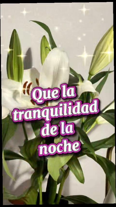 @Rosales 💋