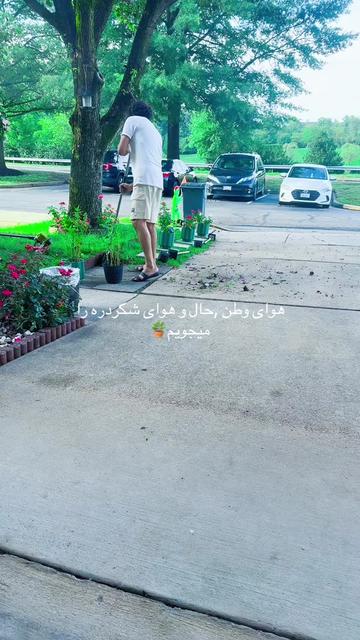 @Shoaib Ibrahimi 1987
