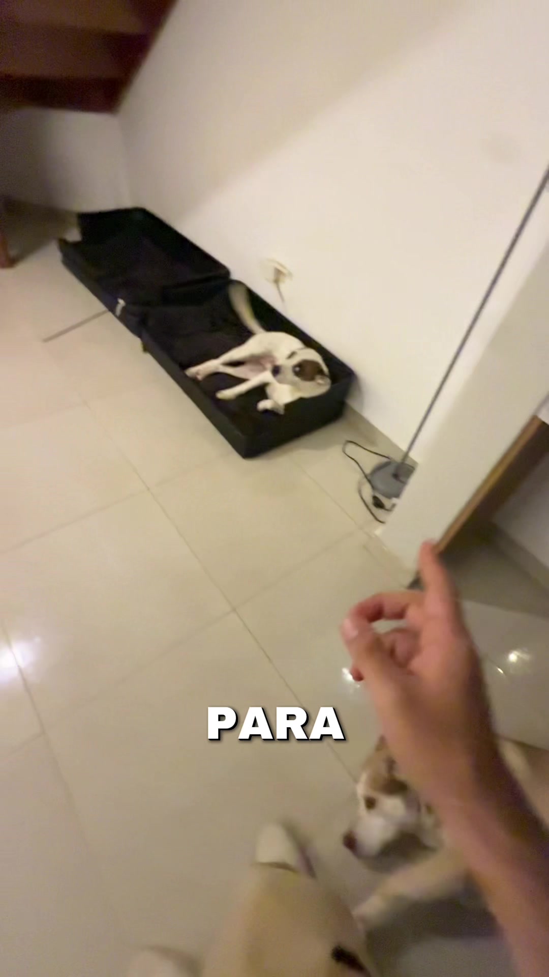 @Hugo Dos Santos