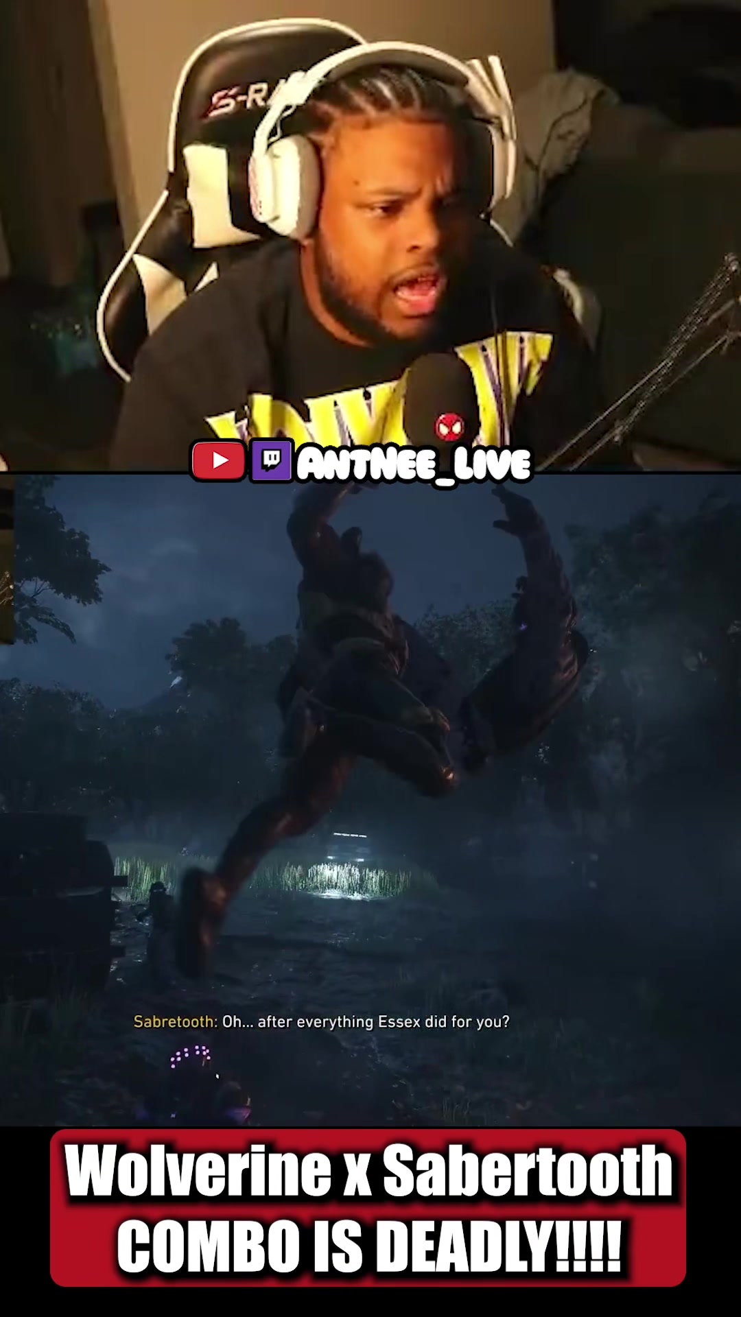 @AntNee Live