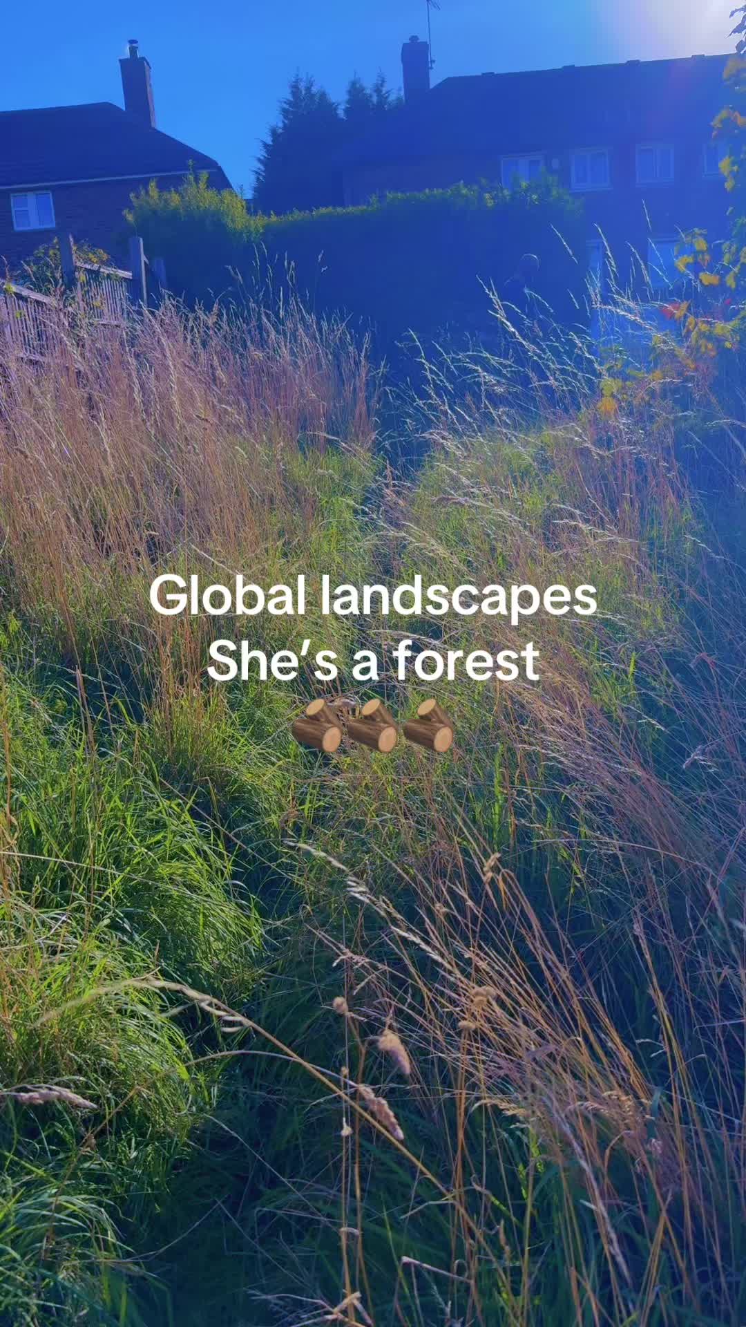 @global landscapes