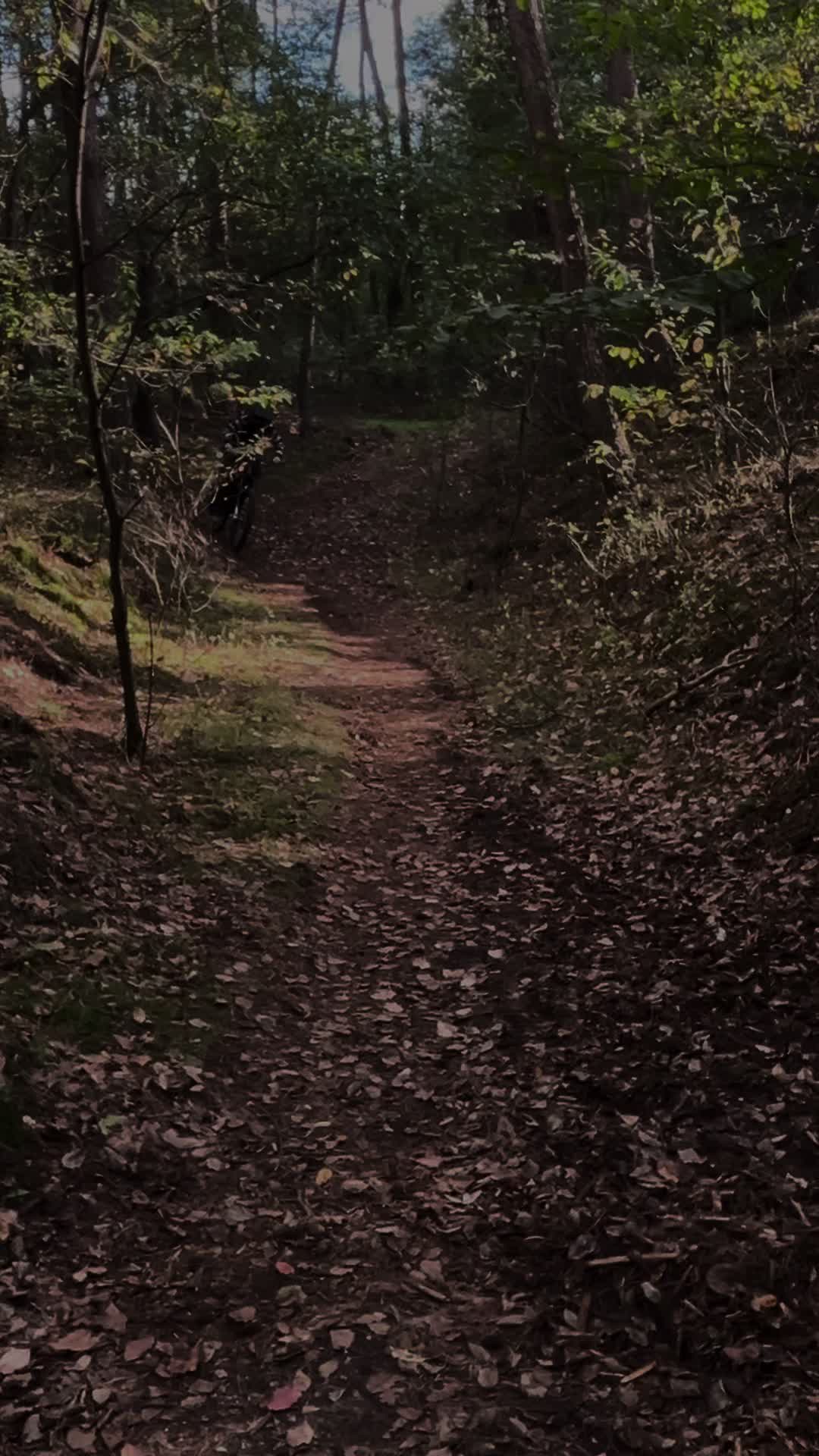 @phil.akkermann