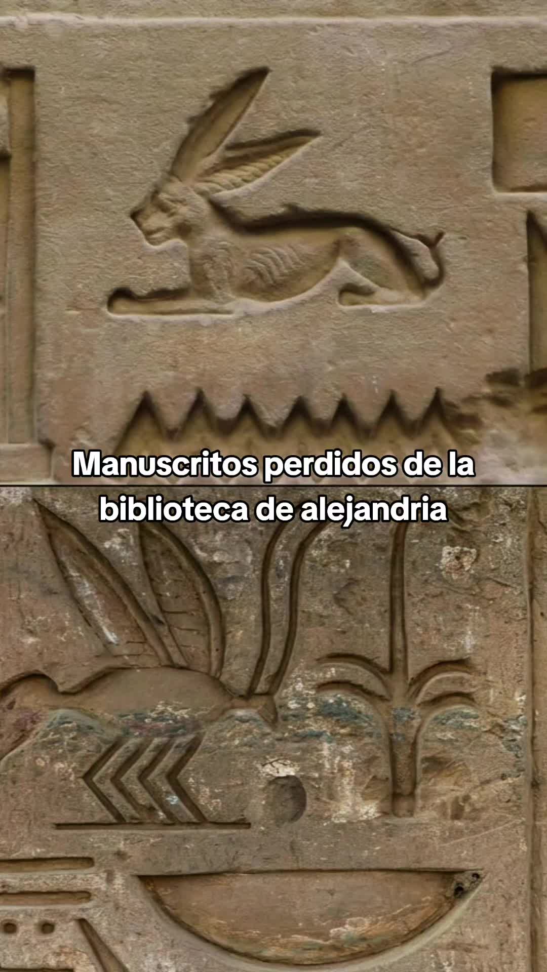 @Viva Historia