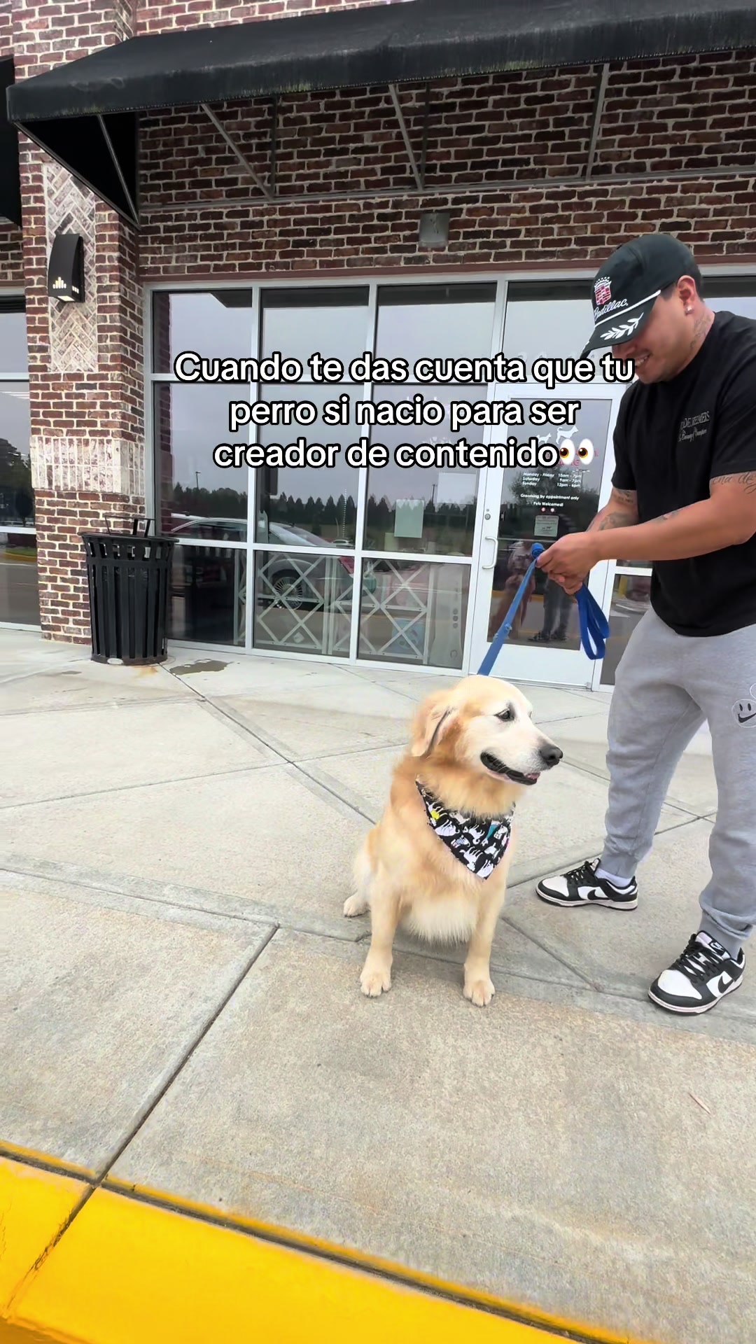@Thebestgoldenlife
