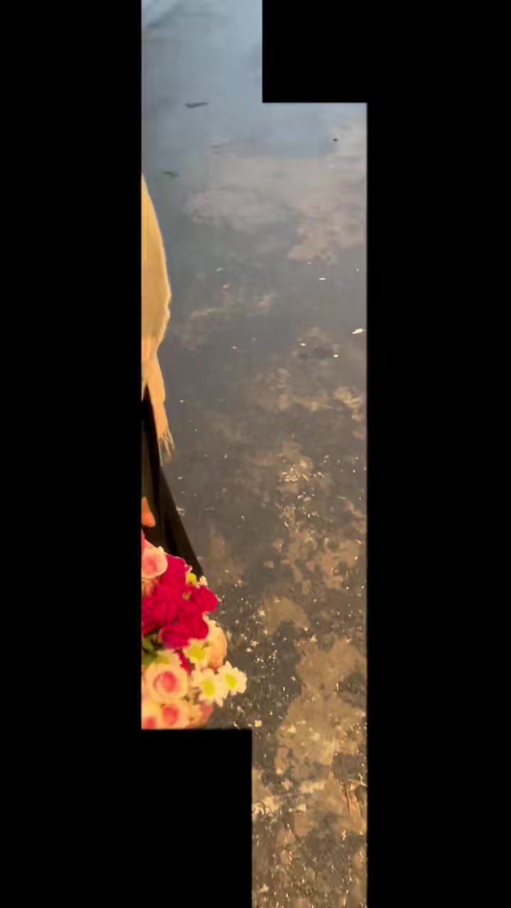 @مندوب ابها