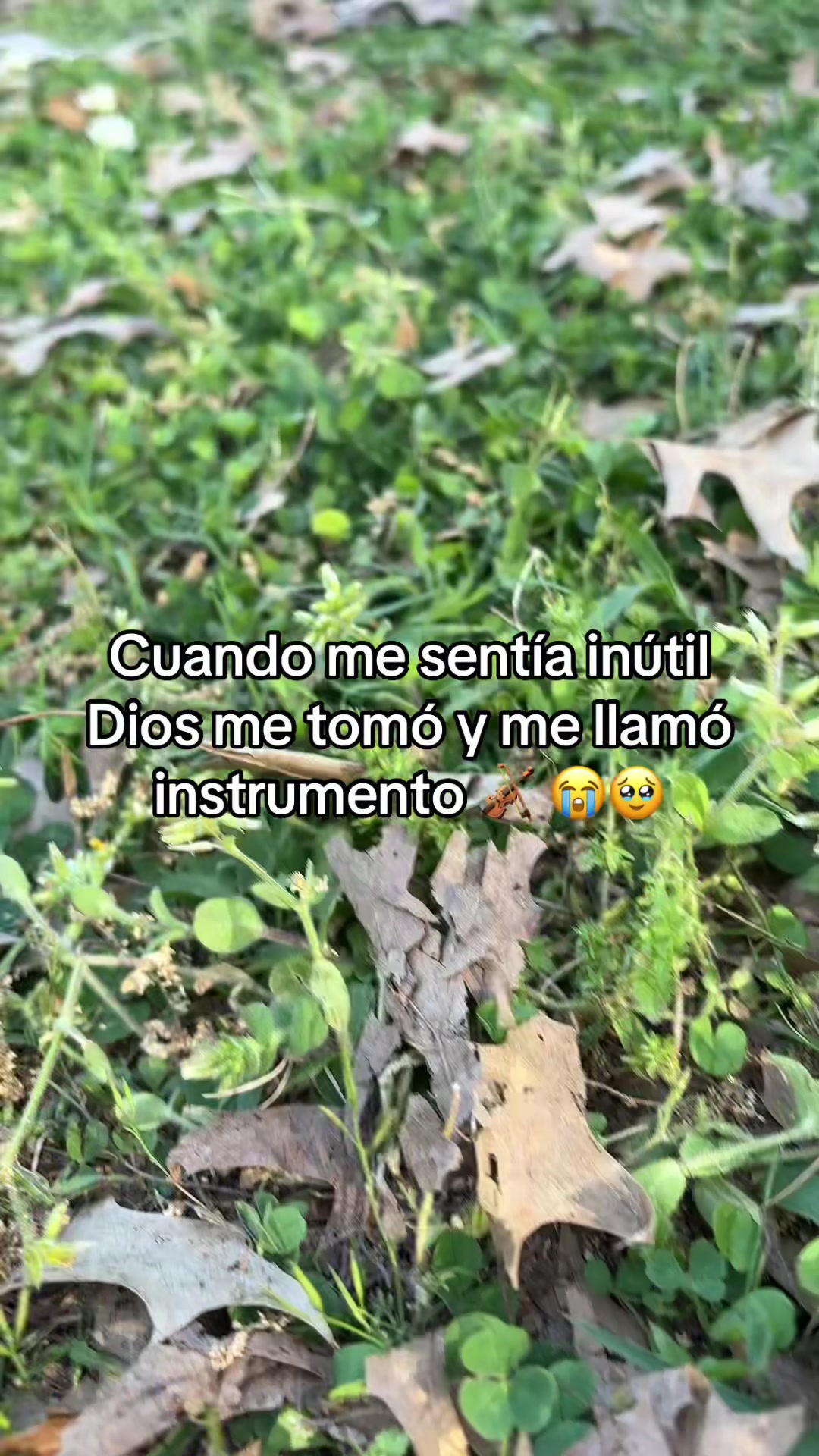 @Evenezer